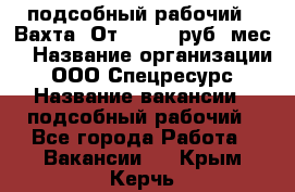 подсобный рабочий . Вахта. От 30 000 руб./мес. › Название организации ­ ООО Спецресурс › Название вакансии ­ подсобный рабочий - Все города Работа » Вакансии   . Крым,Керчь